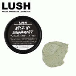 MASK OF MAGNAMINTY 315g_각질 팩