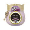SHALDAN 차량용 방향제 스떼끼플러스 앤틱체리향 90g