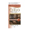 시엘오 디자인 컬러 테라코타 브라운 32g 96ml 10ml 10g