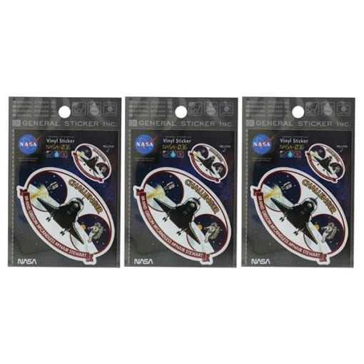 517 nasa 비닐 스티커 나사 036 3개1세트