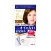 다리야 일본 살롱드프로 염색크림백발용 염색 크림 4n 너트 브라운