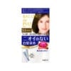 다리야 일본 살롱드프로 염색크림백발용 염색 크림 5gr깊이있는 그레이스 브라운