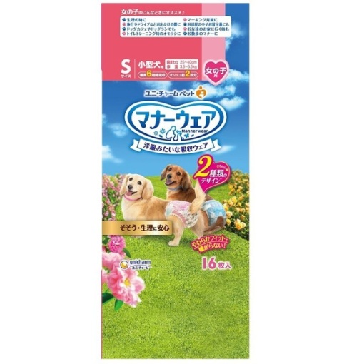 4520699628157 main l