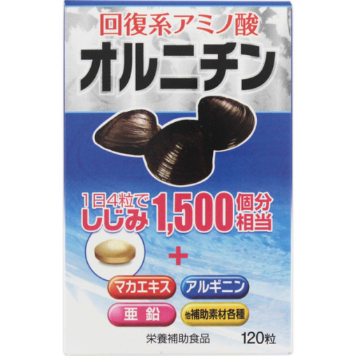 4987097808121 main l