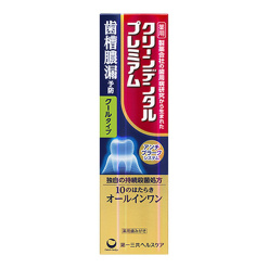 클린 덴탈 프리미엄 쿨 타입 100g