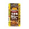 다이쇼 코코이찌방야 감수 맛있는 소금 카레 스파이스 70g