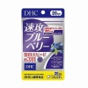 DHC 속공 블루베리 20일분 40정