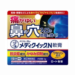 맨소래담 메디퀵 N 연고 6g