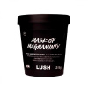 LUSH 러쉬 파워 마스크 SP 페이스 & 바디 마스크 315g