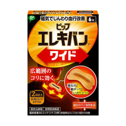 피프 일렉트릭 밴 와이드 6장