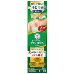 로토제약 맨소래담 아크네스 25 메디컬 미스트 b <100ml>